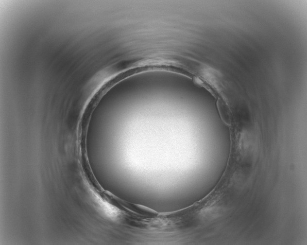 X0000062141124200512121234