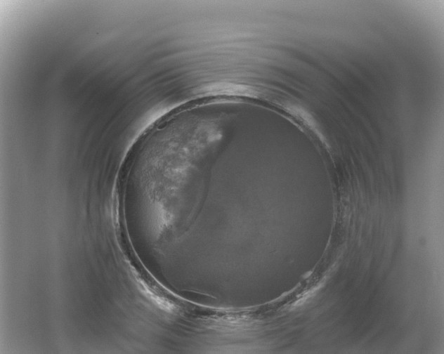 X0000062141125200512121234