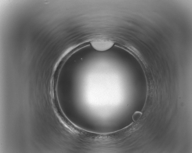 X0000062141128200512121234