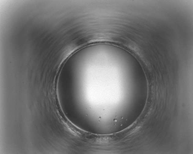 X0000062141129200512121234