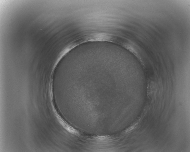 X0000062141130200512121234