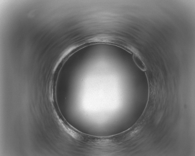 X0000062141131200512121234