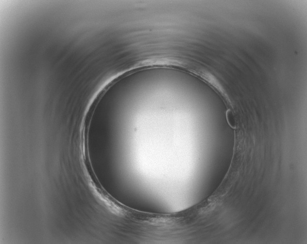 X0000062141132200512121234