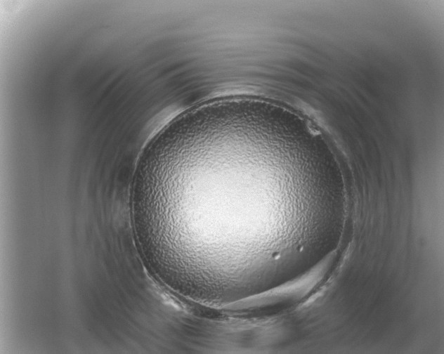 X0000062141137200512121235