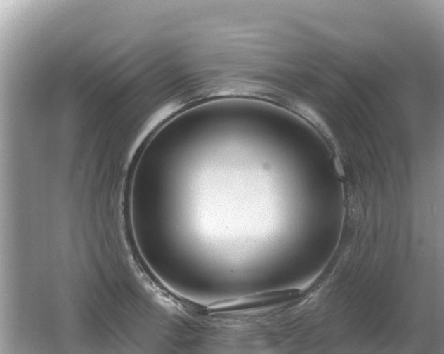 X0000062141138200512121235