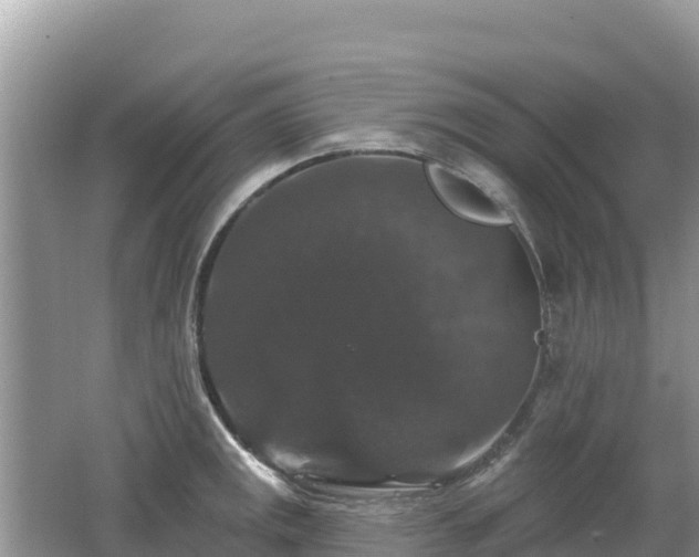 X0000062141141200512121235