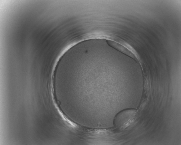 X0000062141144200512121235