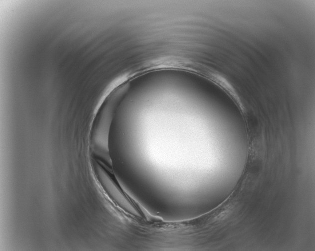 X0000062141146200512121235