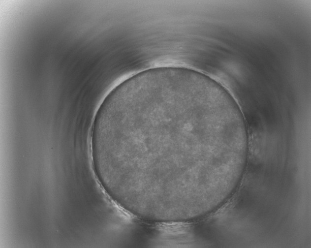 X0000062141150200512121235