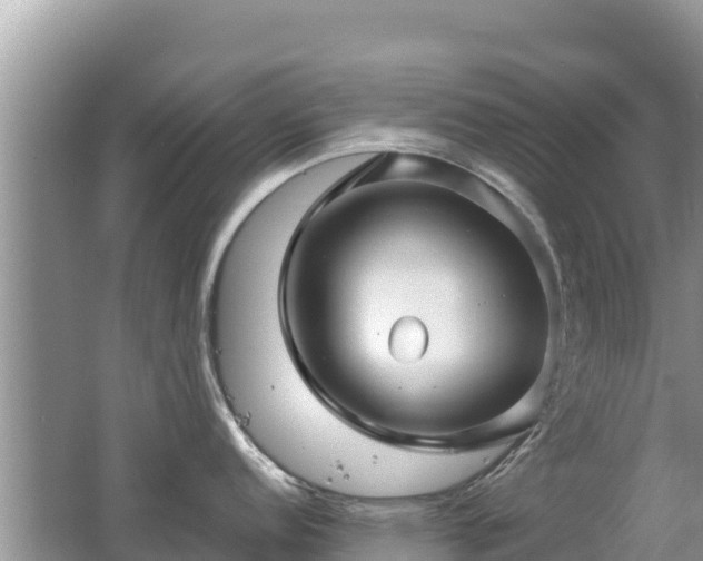 X0000062141152200512121235