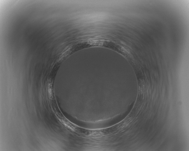 X0000062141154200512121234