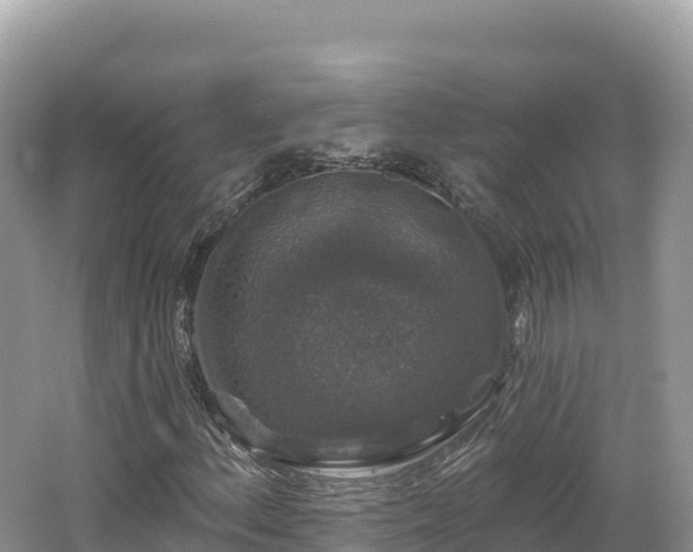 X0000062141156200512121234