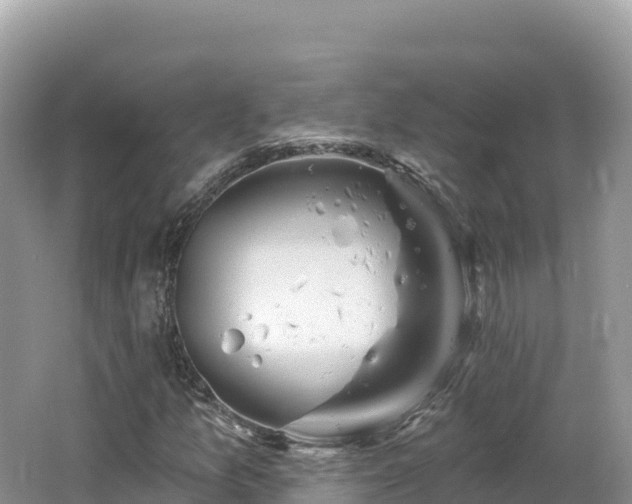 X0000062141157200512121234