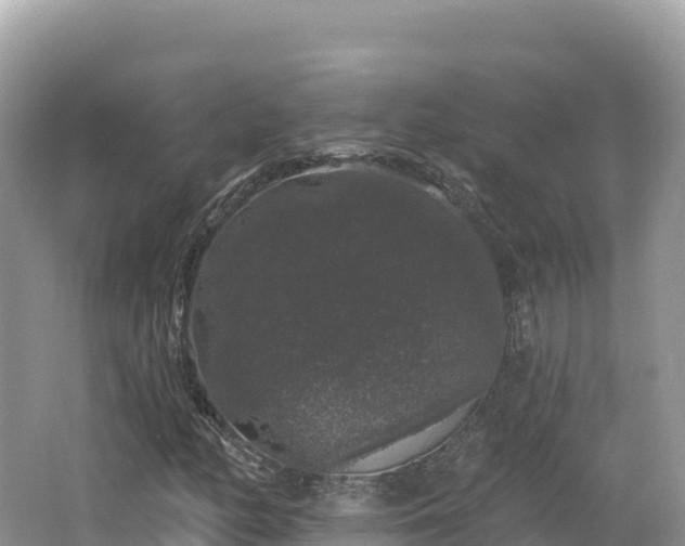 X0000062141158200512121234