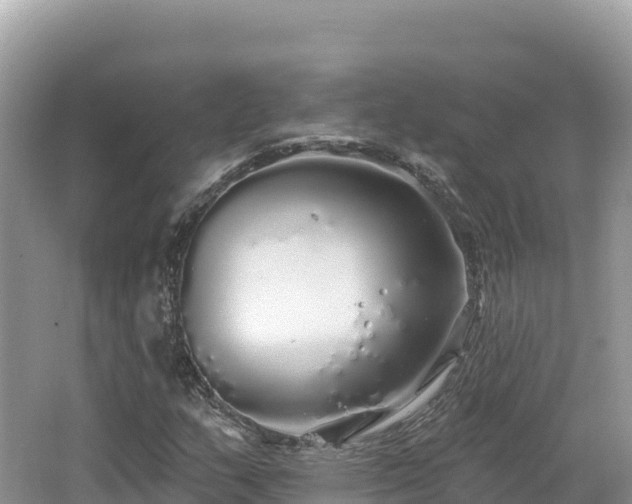 X0000062141159200512121234