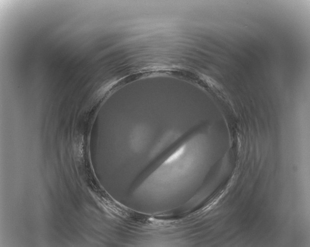 X0000062141161200512121234