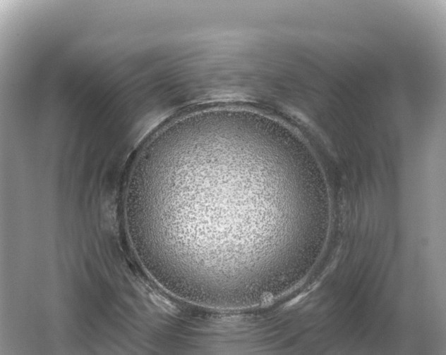 X0000062141162200512121234