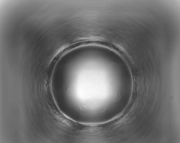 X0000062141163200512121234