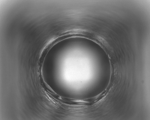 X0000062141164200512121234