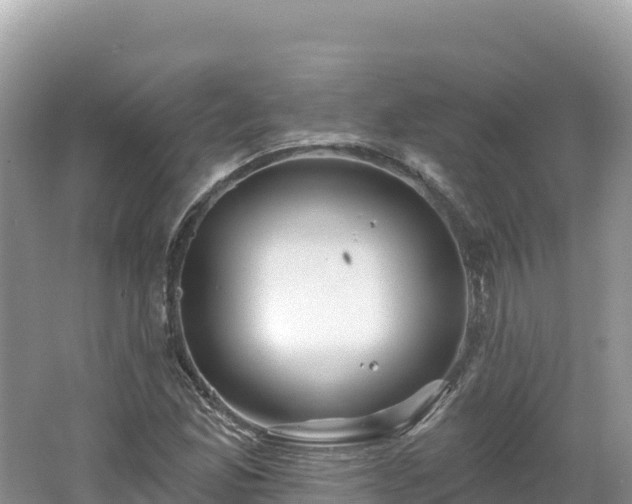 X0000062141165200512121234