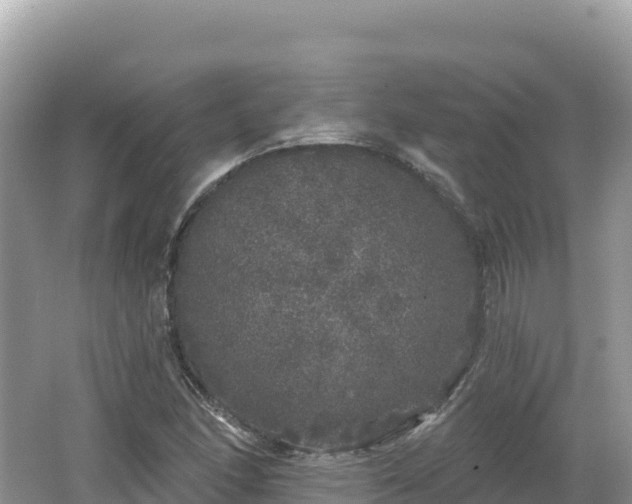 X0000062141166200512121234