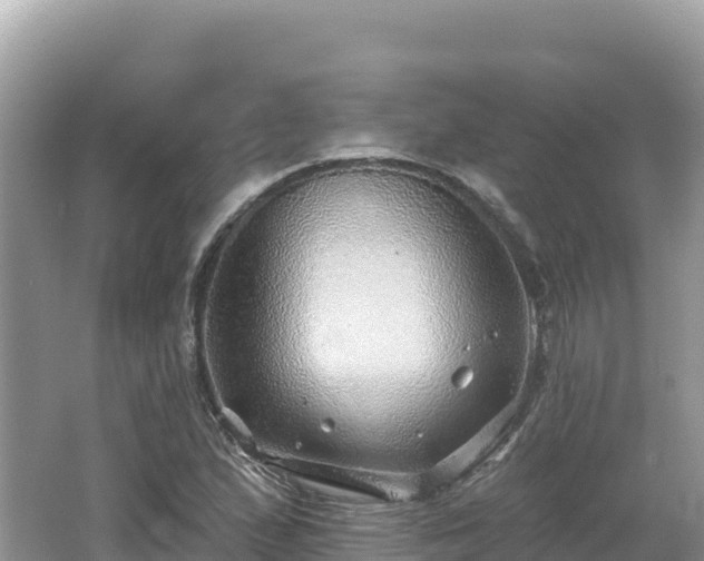 X0000062141167200512121234