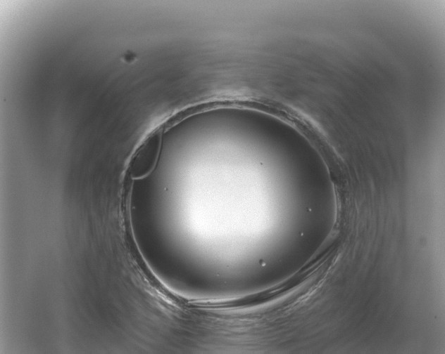 X0000062141168200512121234