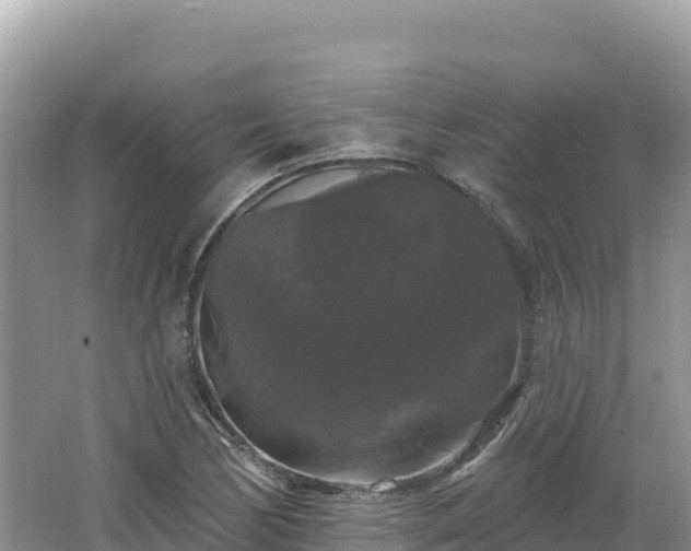 X0000062141170200512121234