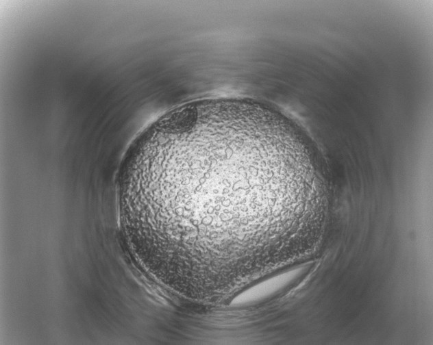 X0000062141171200512121234