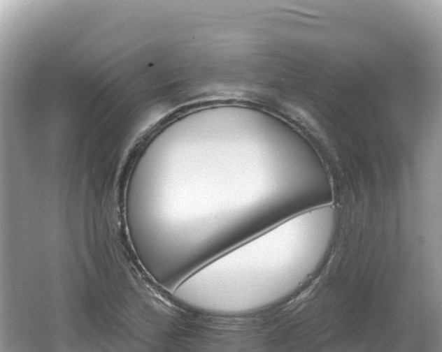 X0000062141172200512121234