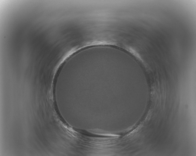 X0000062141173200512121234