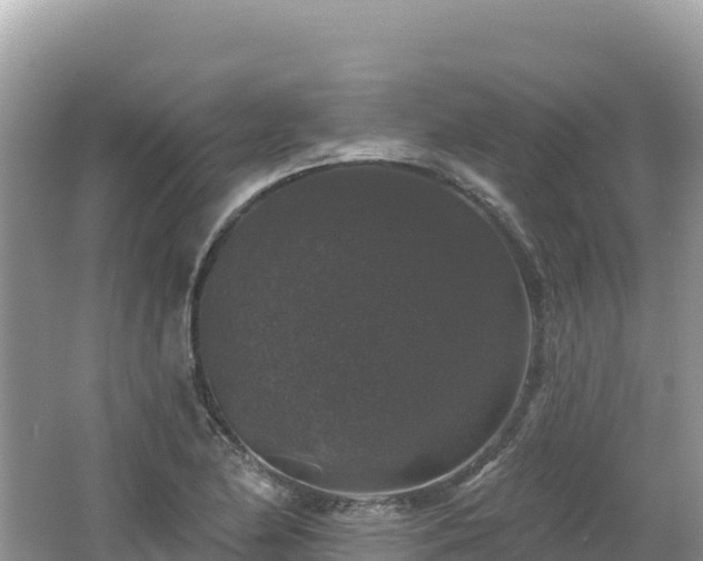 X0000062141174200512121234