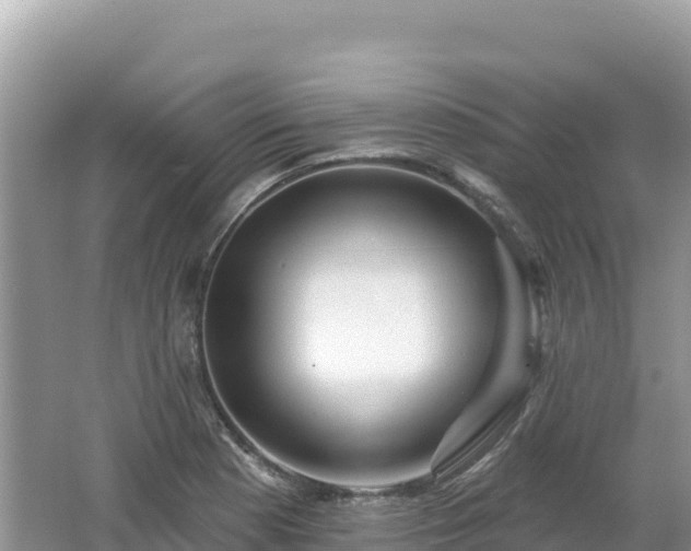 X0000062141177200512121234