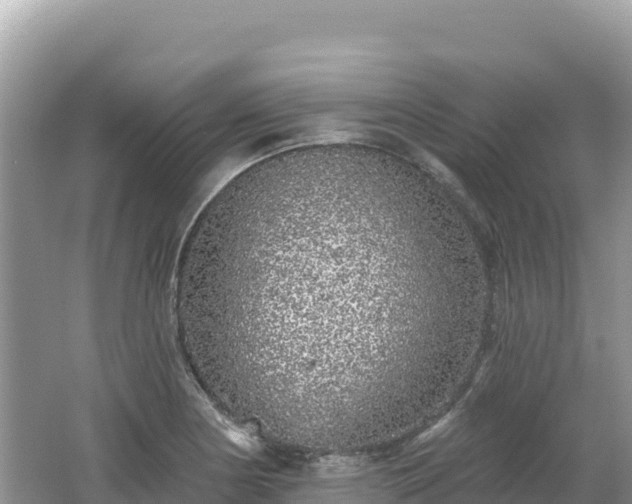 X0000062141178200512121234