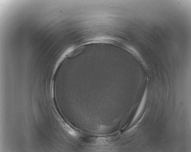 X0000062141180200512121233