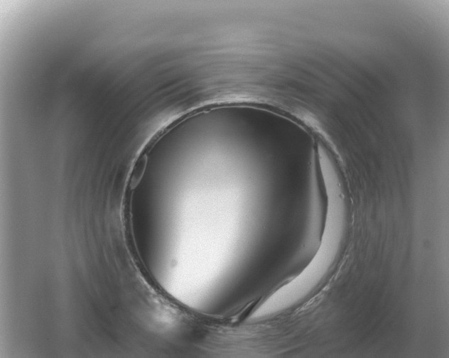 X0000062141181200512121233