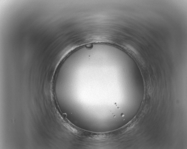 X0000062141182200512121233