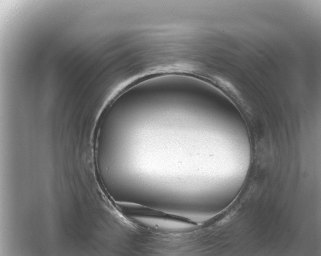 X0000062141184200512121233