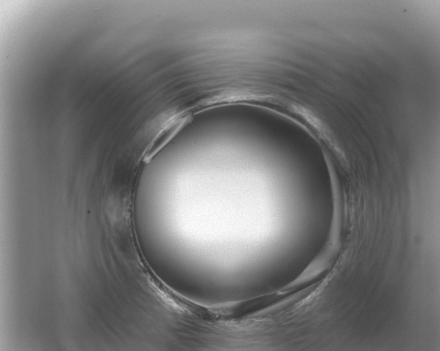 X0000062141185200512121233