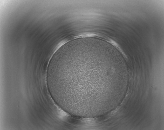 X0000062141186200512121233