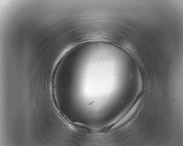 X0000062141188200512121233