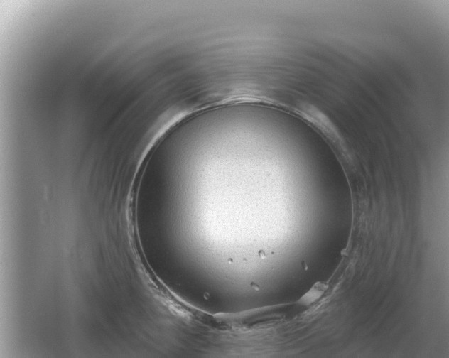 X0000062141190200512121233