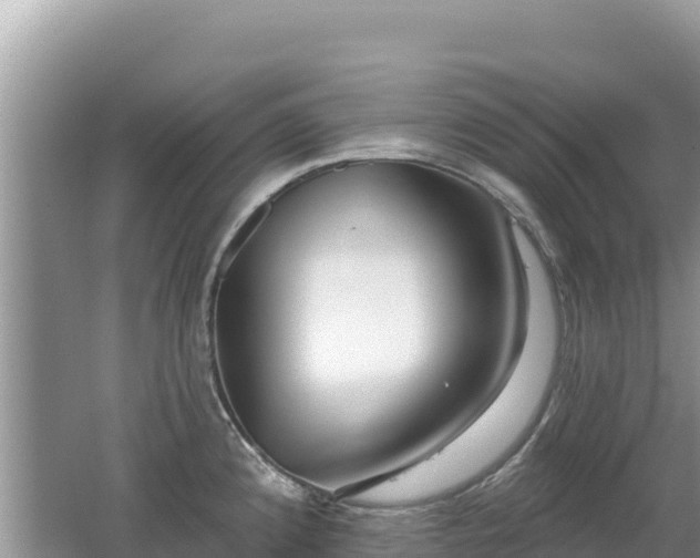 X0000062141192200512121233