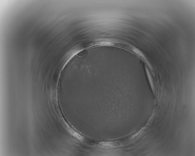 X0000062141194200512121233