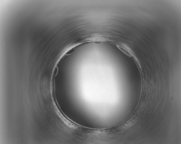 X0000062141195200512121233