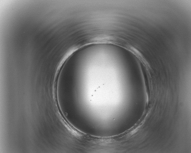 X0000062141196200512121233