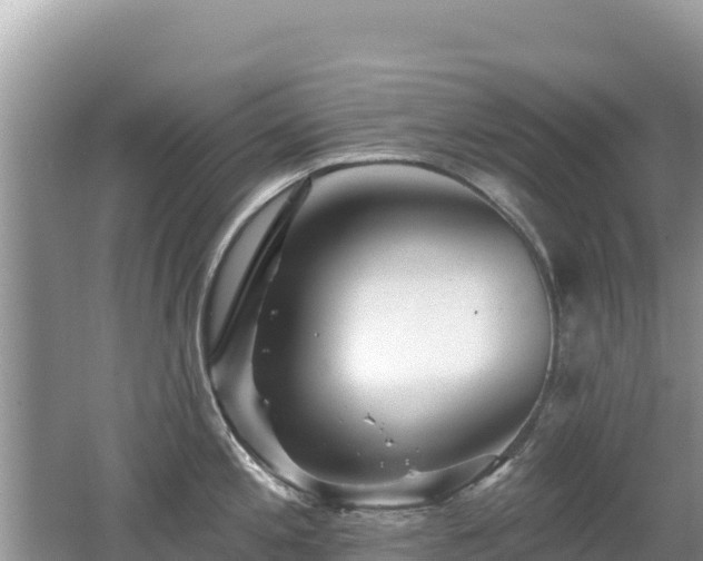 X0000062141197200512121233