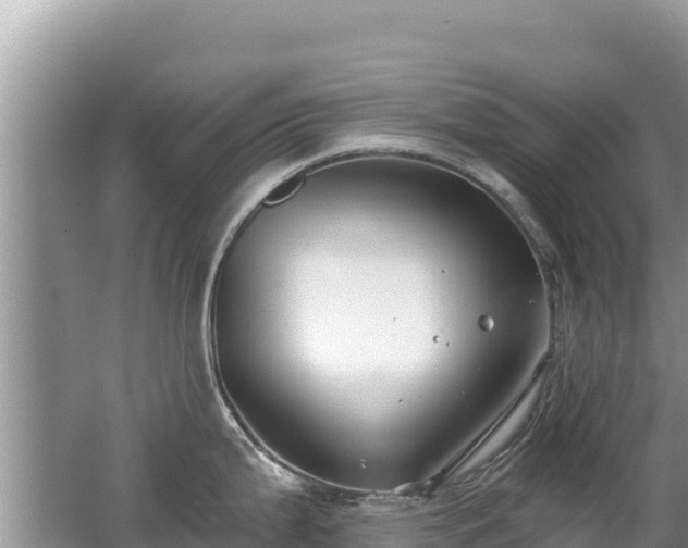 X0000062141199200512121233