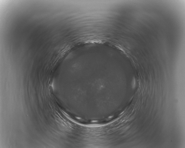 X0000062141202200512121232