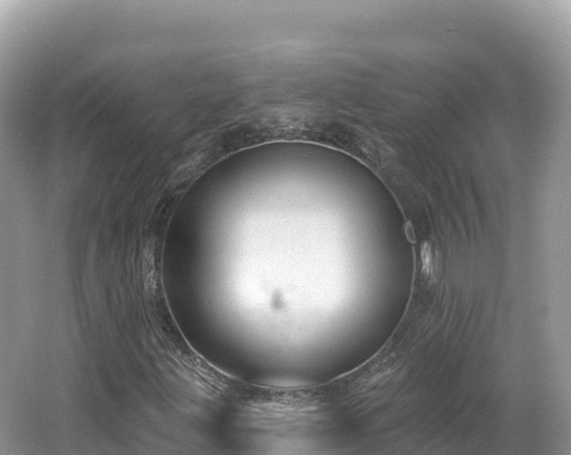 X0000062141203200512121232